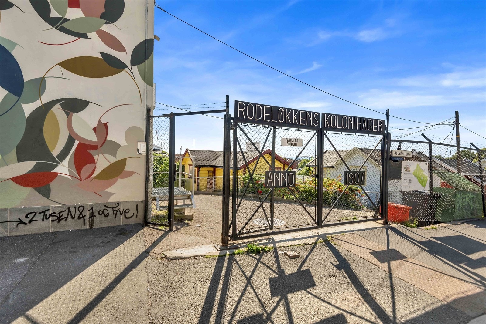 Rodeløkkens kolonihager er Norges eldste kolonihage Galleribilde