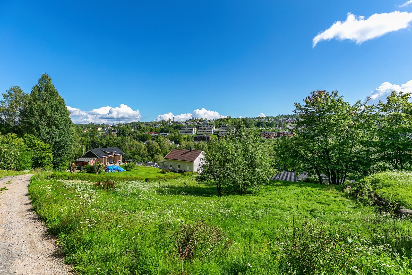 Delvis naturtomt Galleribilde