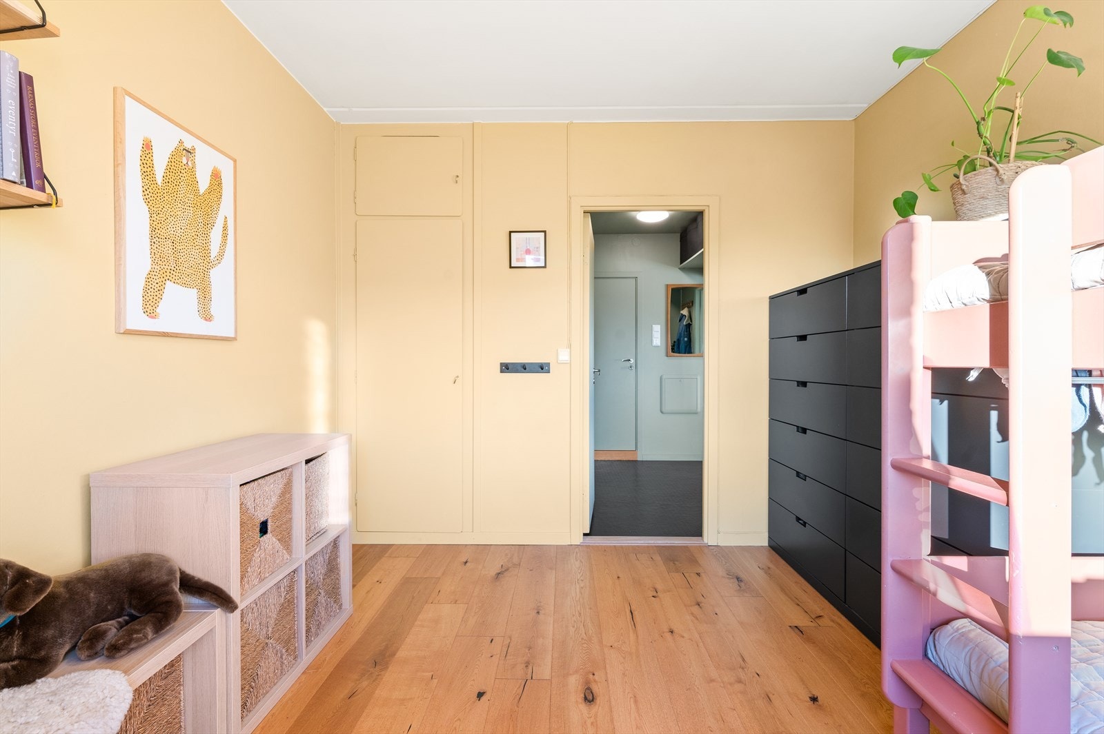 Ønsker du at det skal fungere som både kontor og gjesterom på samme tid, kan en skapseng være en genial idé for deg! Galleribilde