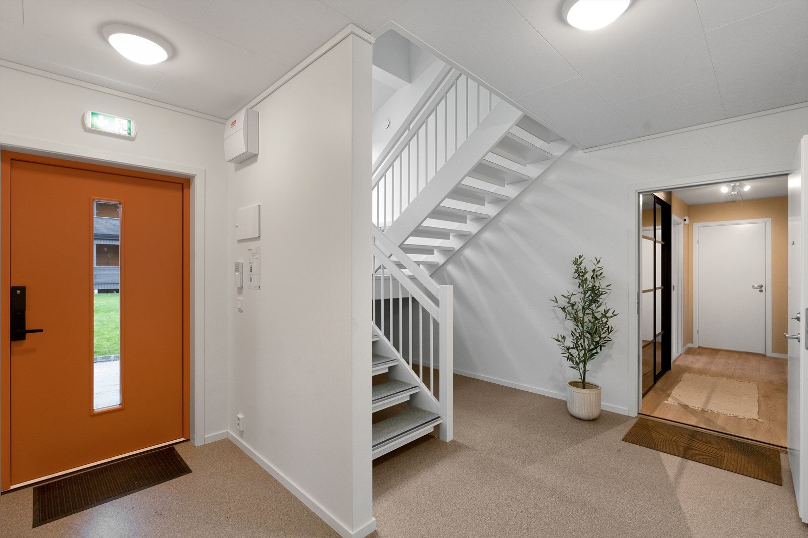 Felles gang Galleribilde