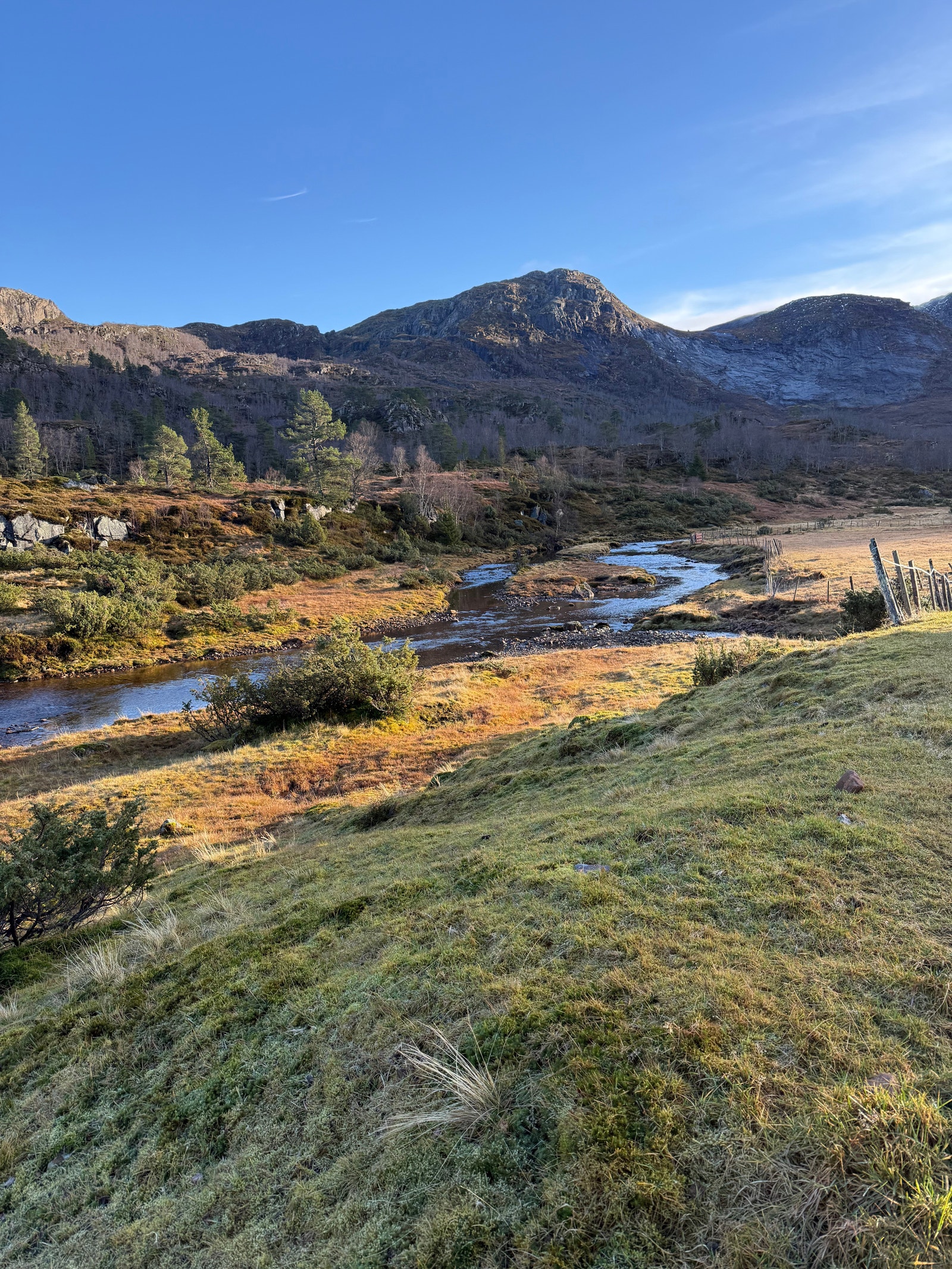 Flott turterreng ved Nydalsstøylen Galleribilde