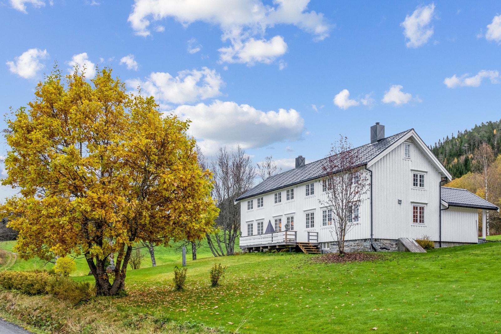 Det er en flott hage rundt tunet. Sørvendt og solrikt. Galleribilde