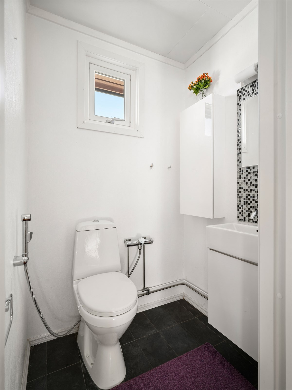 Toalett Galleribilde