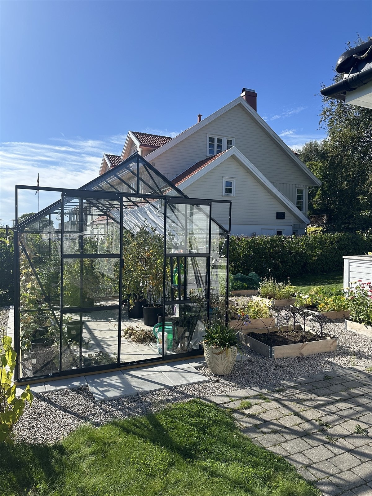 Selgers private bilder fra sommer Galleribilde