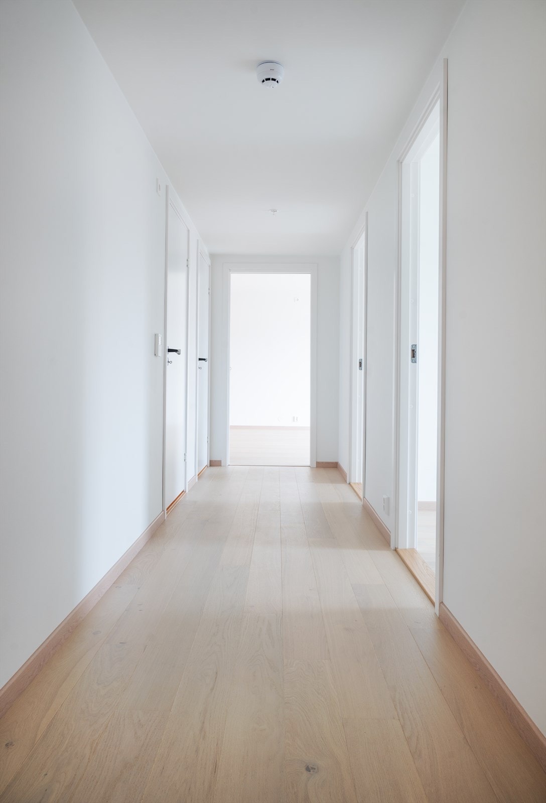 Lyse flater og rikelig med naturlig lysinnslipp er gjennomgående i hele leiligheten. Galleribilde