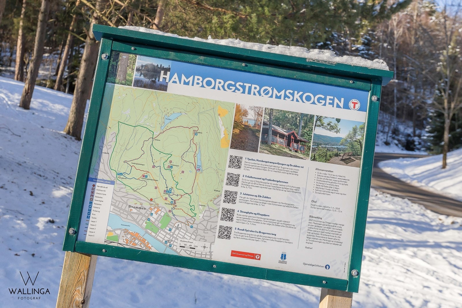 Bragernesåsen kan by på flotte tur- og skimuligheter Galleribilde