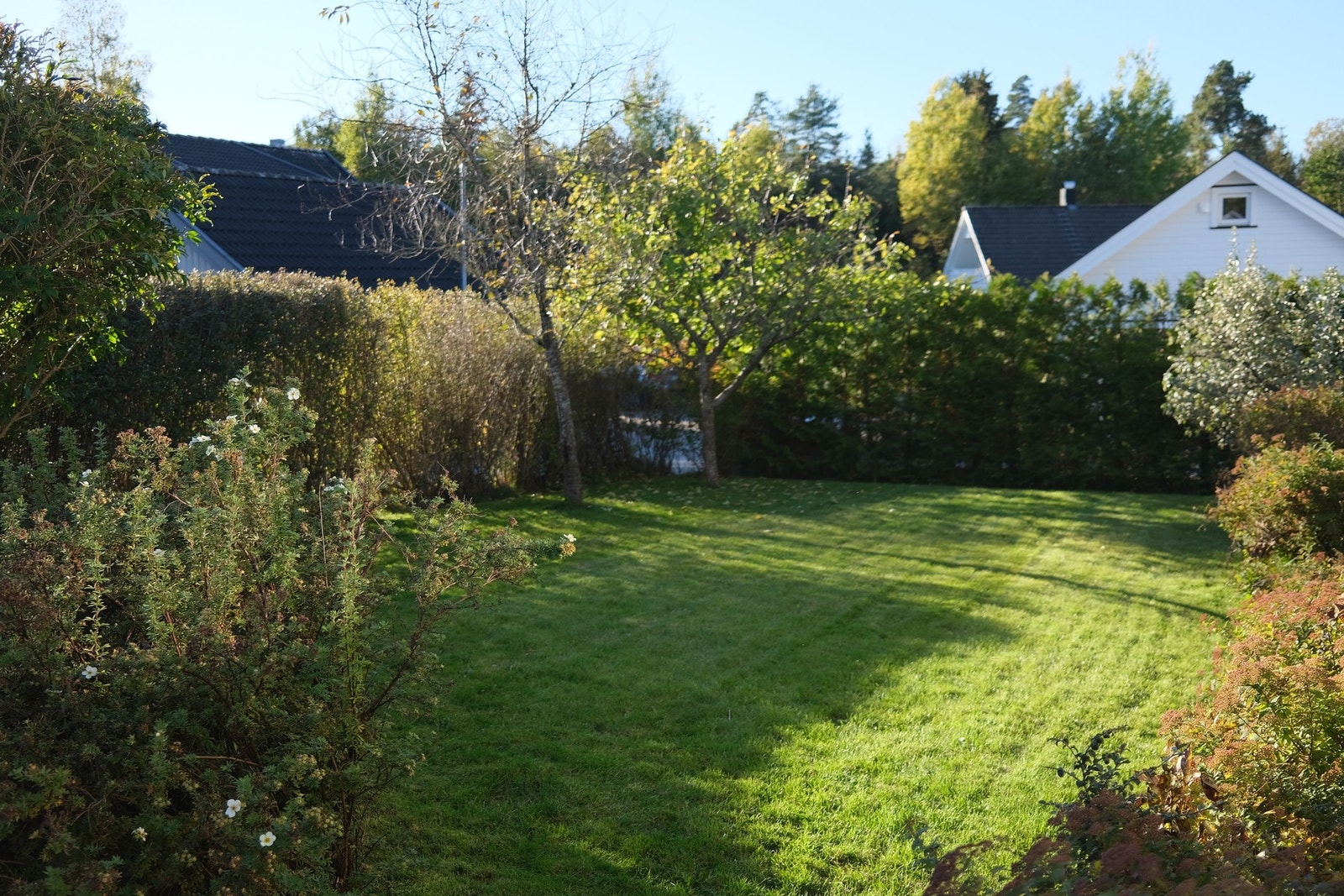 Tomten er opparbeidet med gruset gårdsplass, hage med plenareal, diverse beplantning og dels naturtomt. Galleribilde