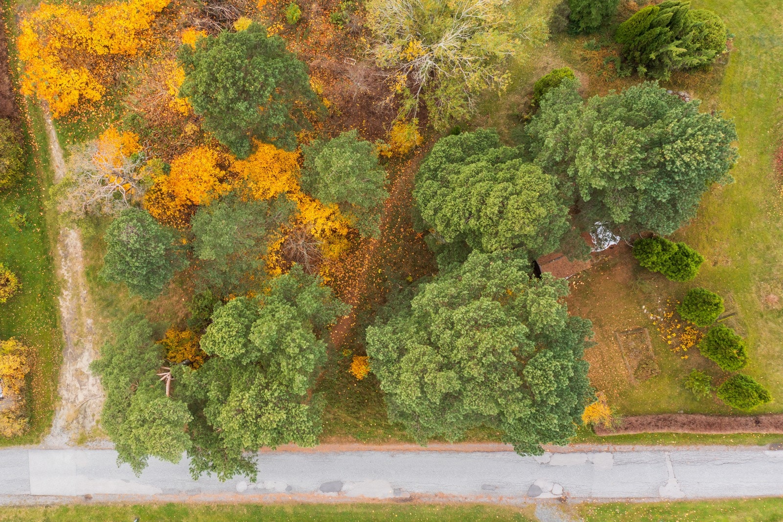 Oversiktsbilde av tomten Galleribilde