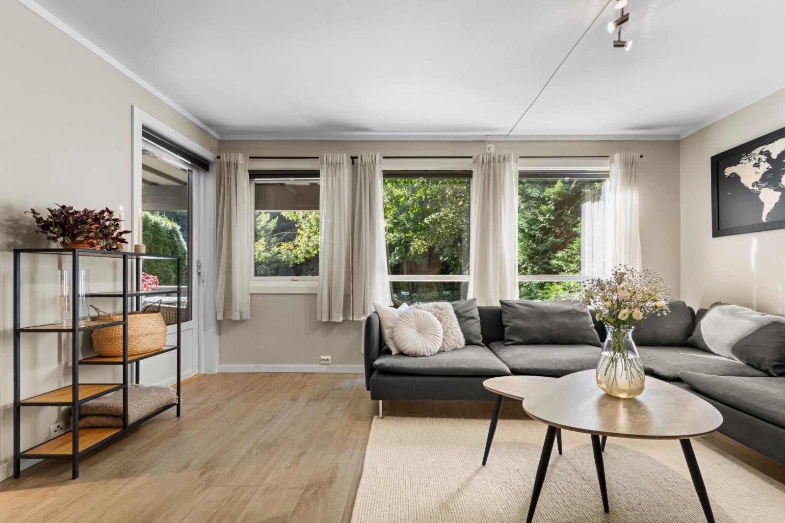 Store vindusflater som gir godt med naturlig lys Galleribilde