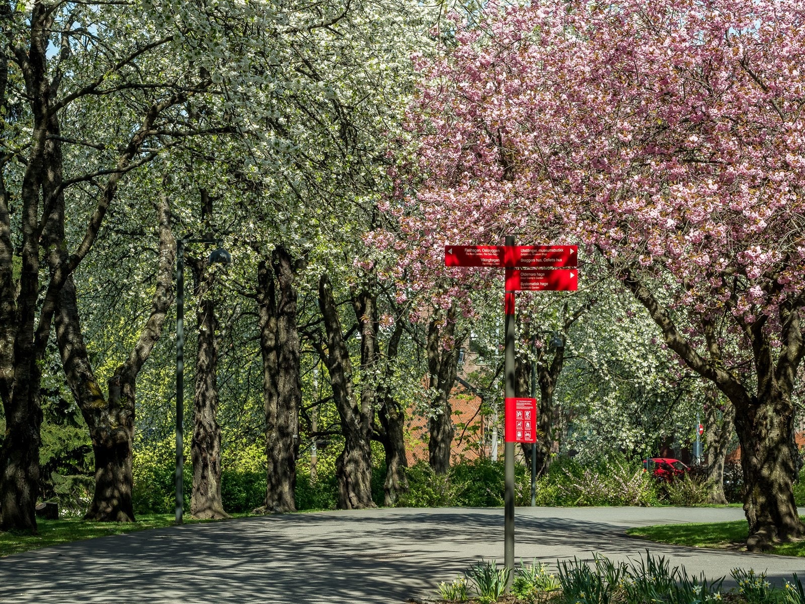 Botanisk hage på Tøyen er Norges eldste botaniske hage, etablert i 1814. Galleribilde