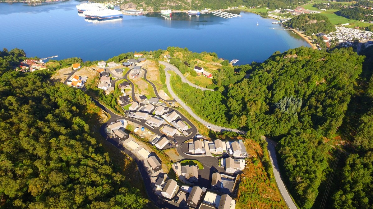 4417054_1-fvedzb1.jpg Galleribilde