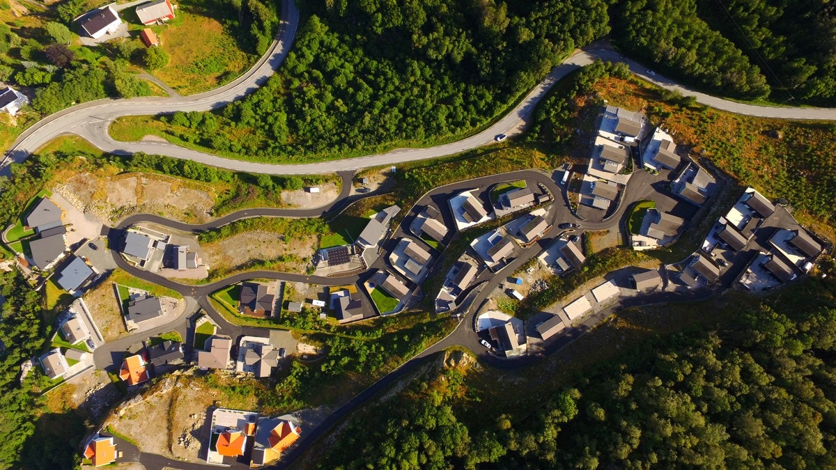 4417047_1-tzsssb1.jpg Galleribilde