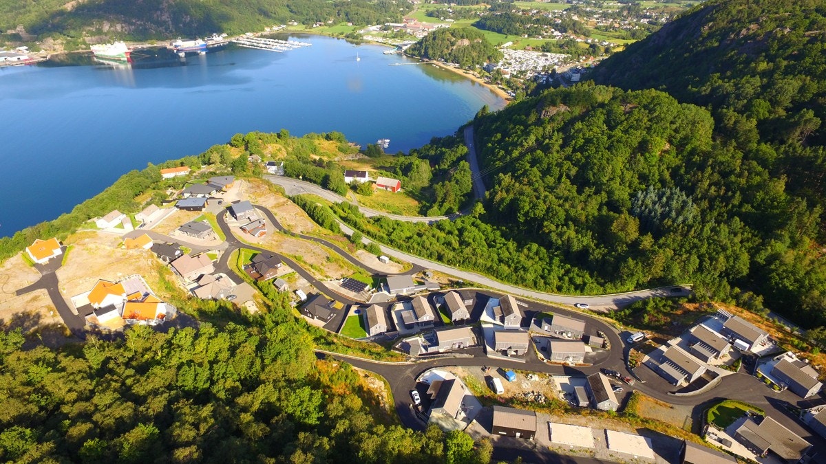 4417055_1-owvspb1.jpg Galleribilde