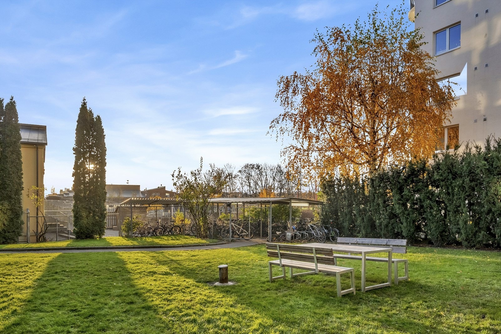 Koselig bakgård med plen, beplantning, sittegrupper og sykkelparkering. Galleribilde