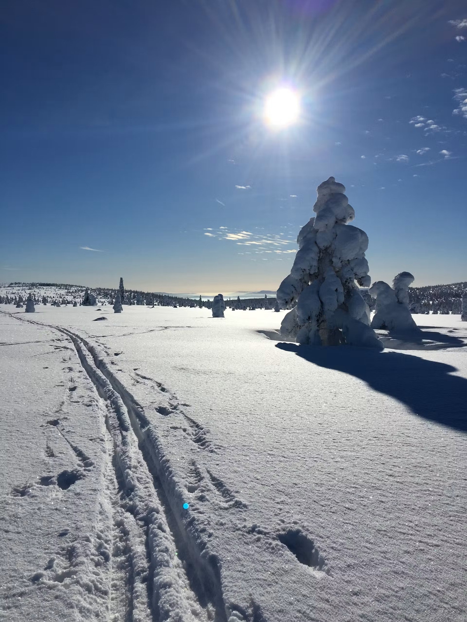 Endeløse områder som innbyr til en tur utenfor preparerte løyper Galleribilde
