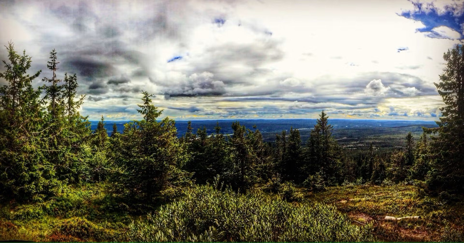 Nyt sommeren på Gåsbu Galleribilde