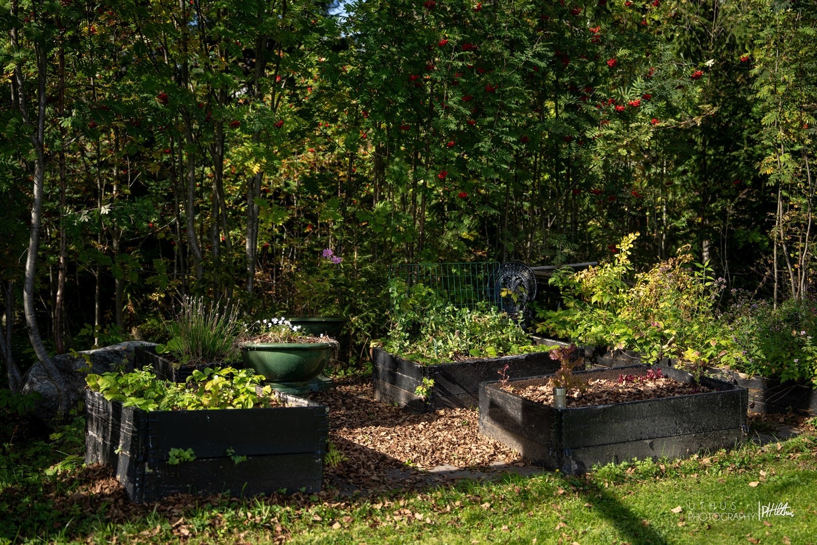 Koselig kjøkkenhage. Galleribilde