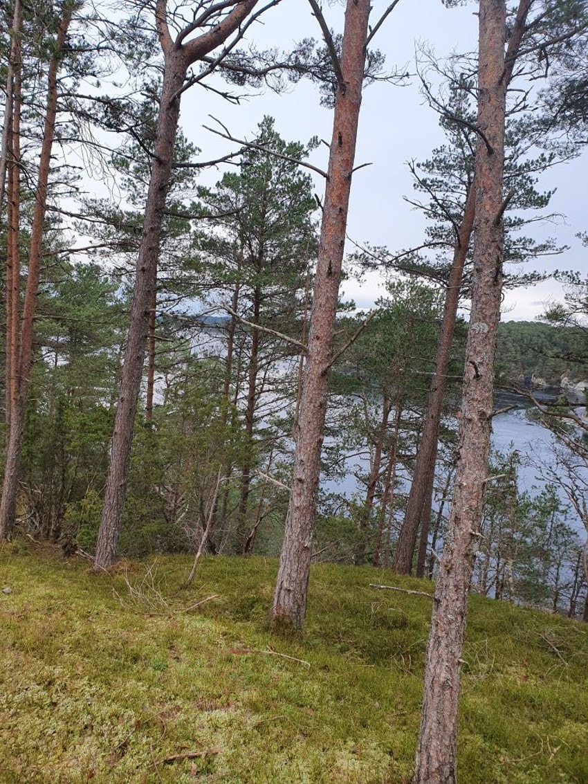 Nord-øst mot "småbåthavn" Galleribilde