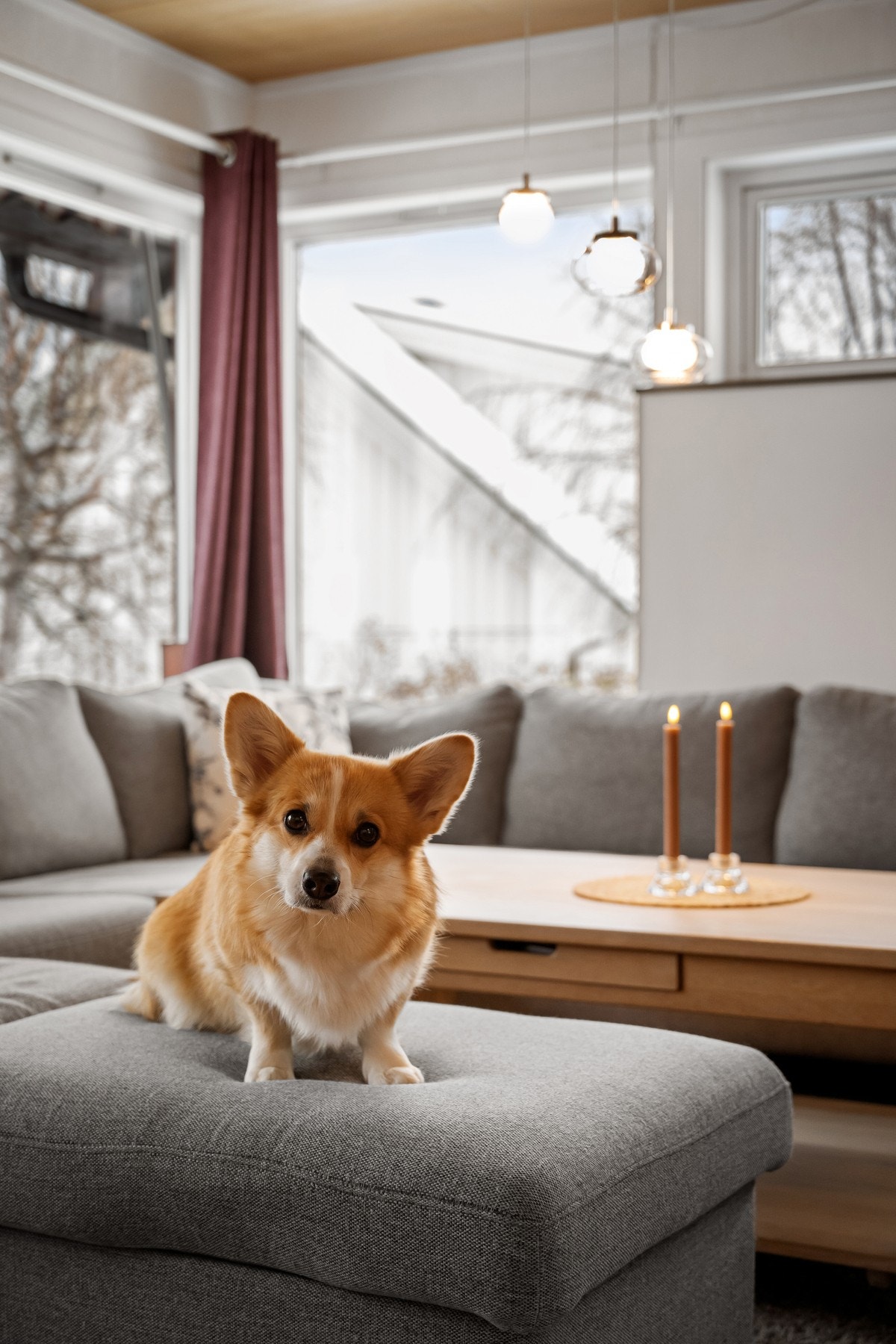 Den perfekte familieboligen - her vil både tobeinte og firbeinte trives godt Galleribilde