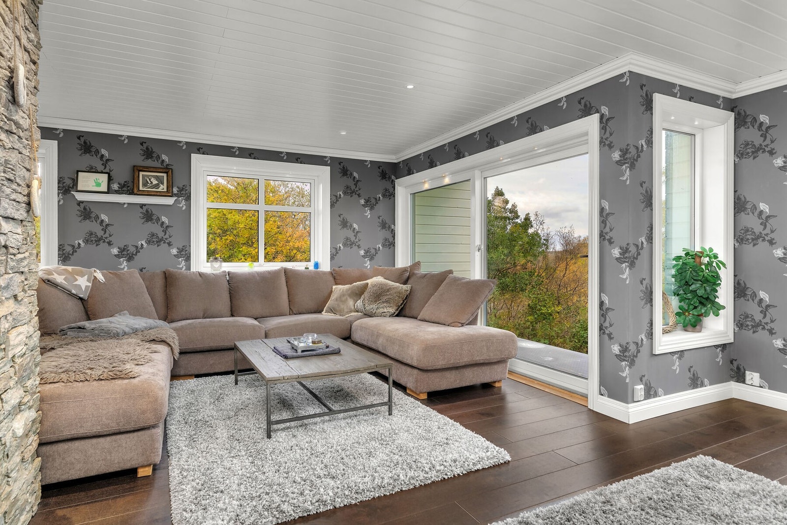 Fra stuen er det utsikt mot natur i flere retninger. Galleribilde