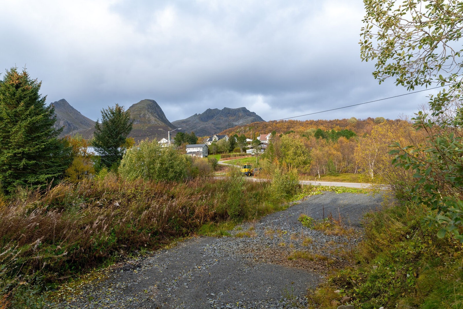 Naturskjønn utsikt. Galleribilde