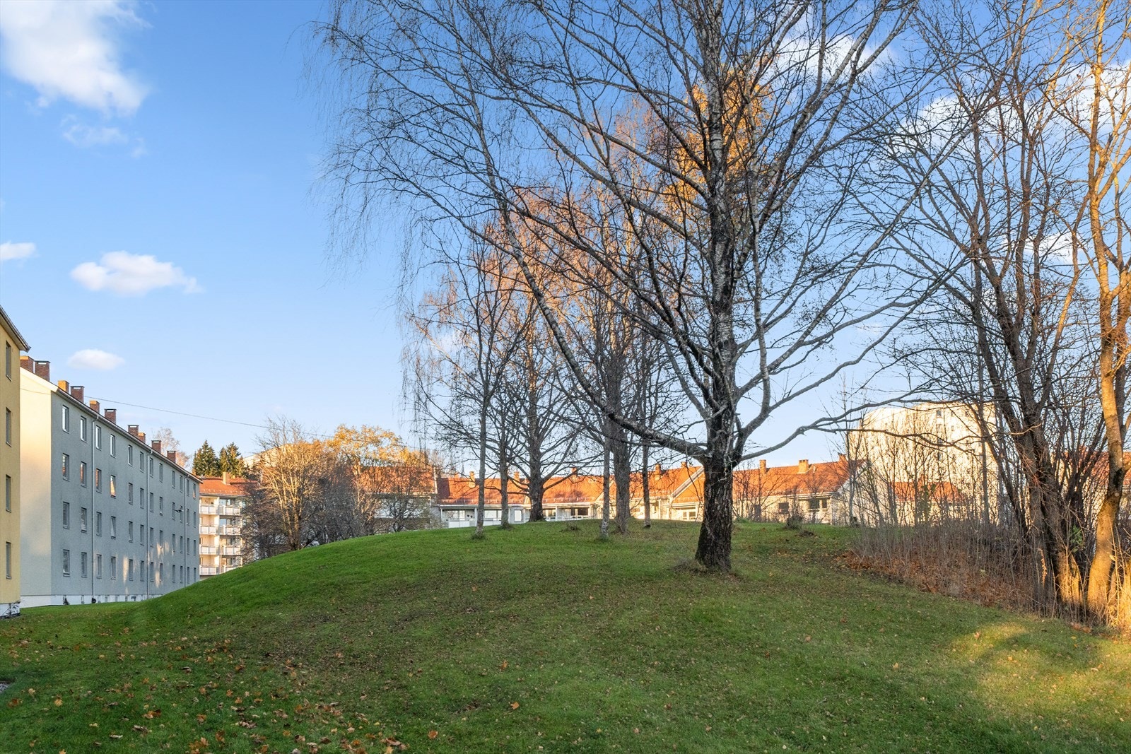 Grønne fellesområder med plass for lek og avslapning. Galleribilde