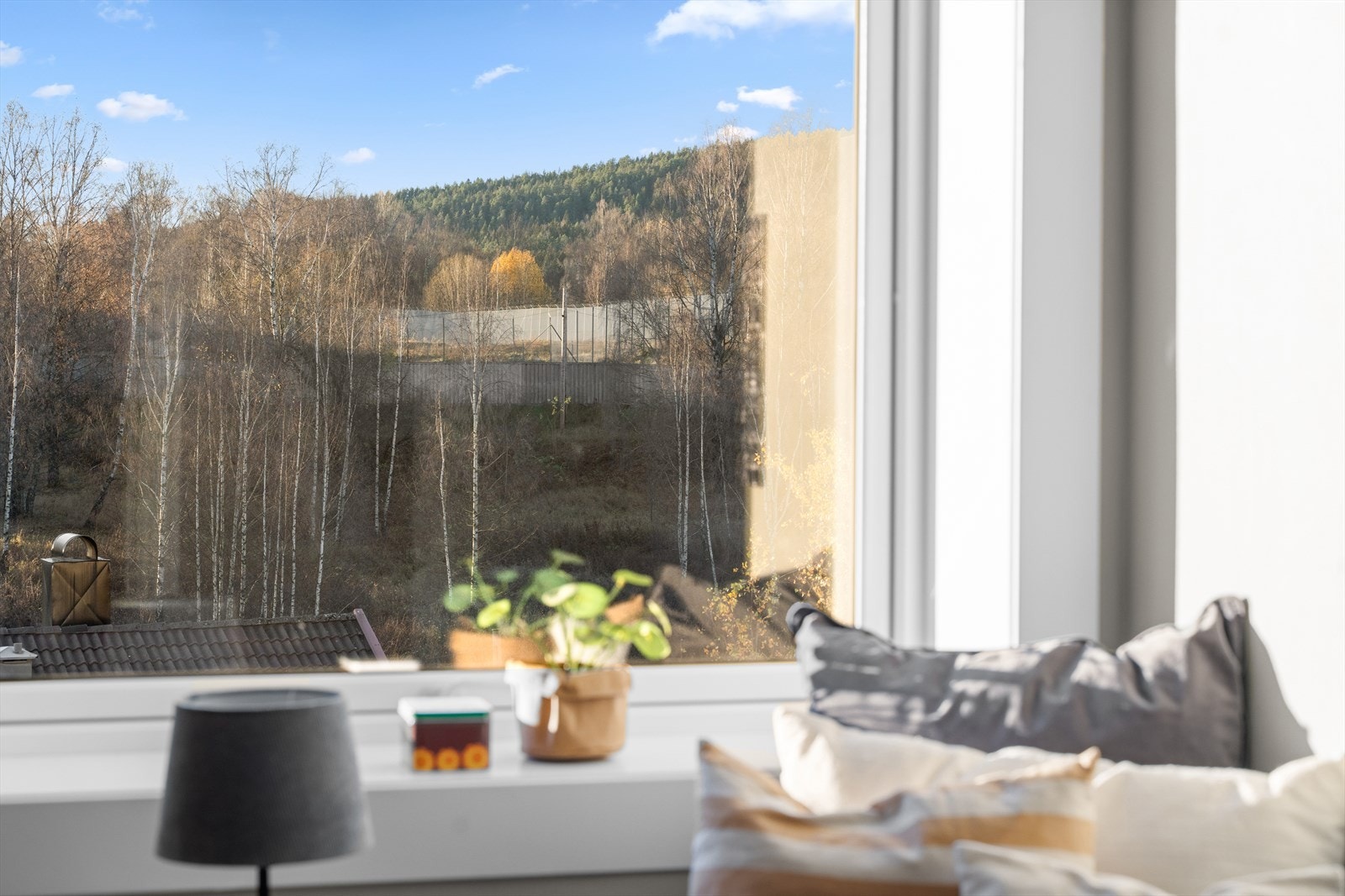 Vinduer som slipper inn rikelig med naturlig lys Galleribilde