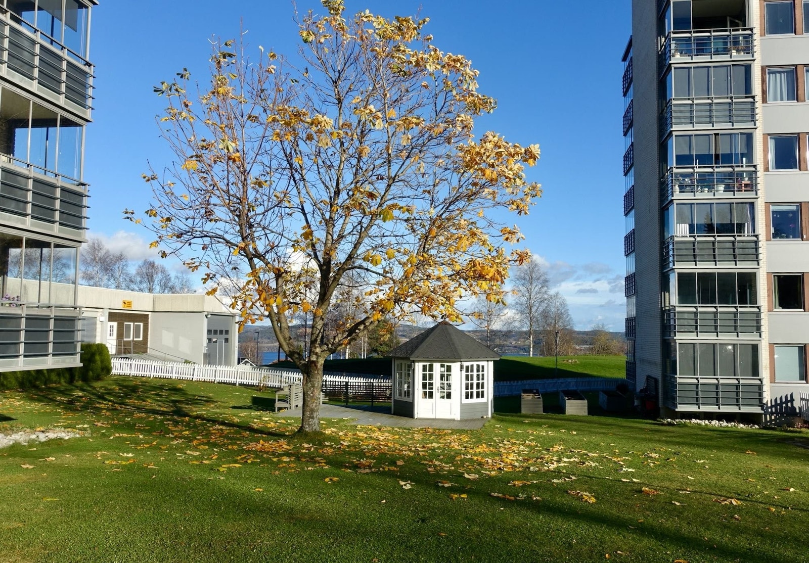 Stort felles uteområdet gir muligheter for sosialt samvær og dyrking av grønnsaker Galleribilde