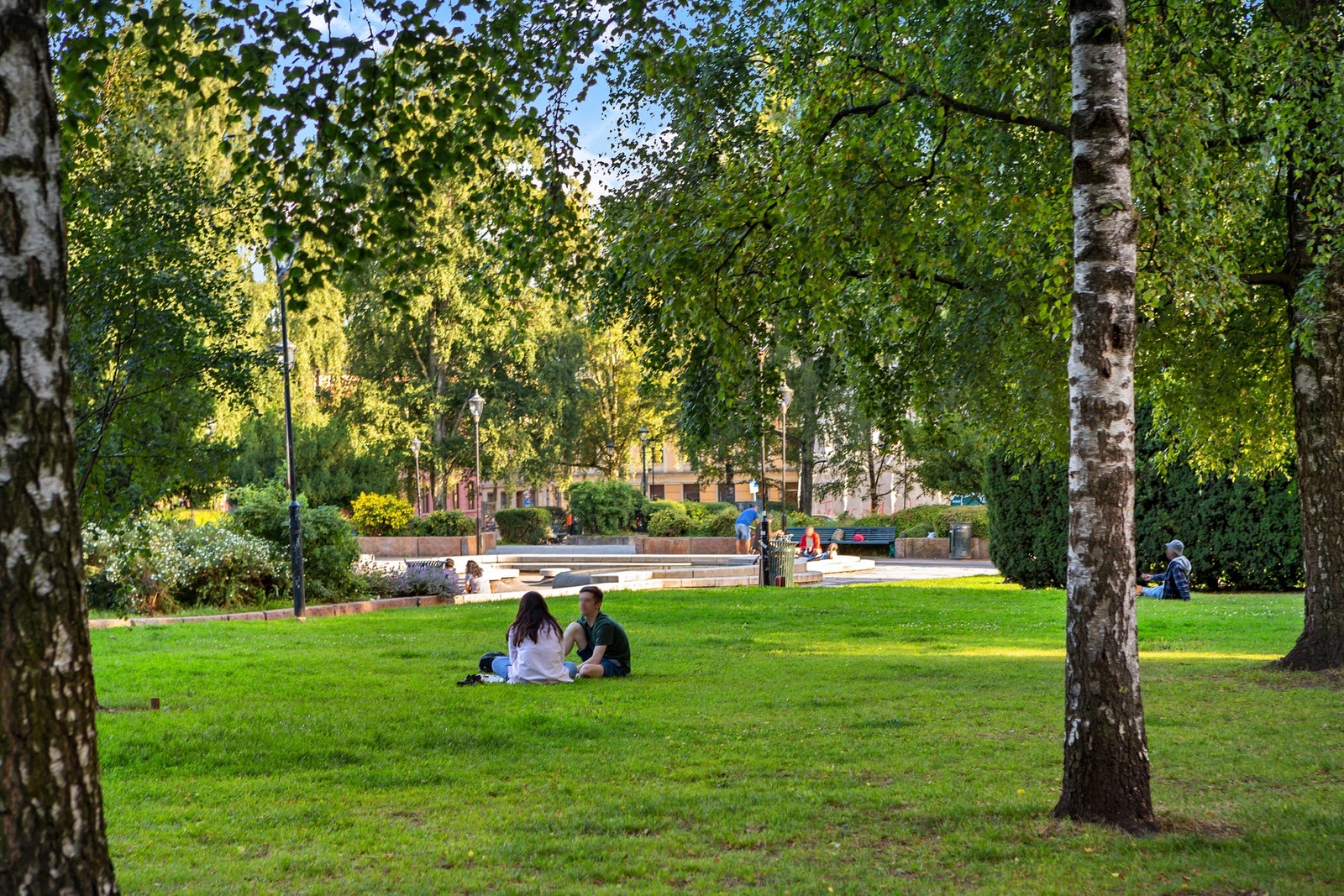 Tross sin sentrale og urbane beliggenhet, har leiligheten flere flotte og idylliske grøntområder i nærheten, blant annet Birkelunden og Sofienbergparken. Galleribilde