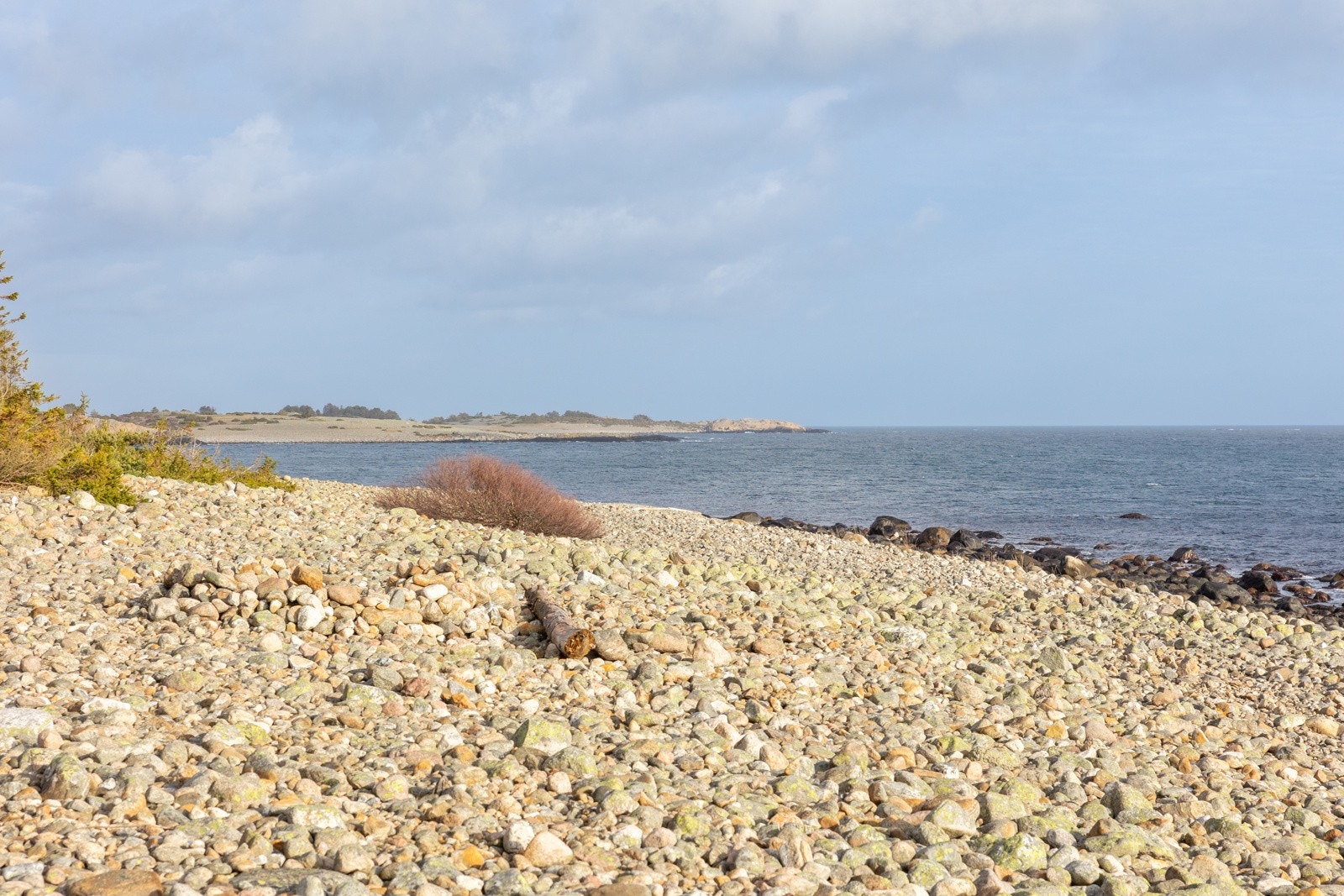 Raet nasjonalpark Galleribilde