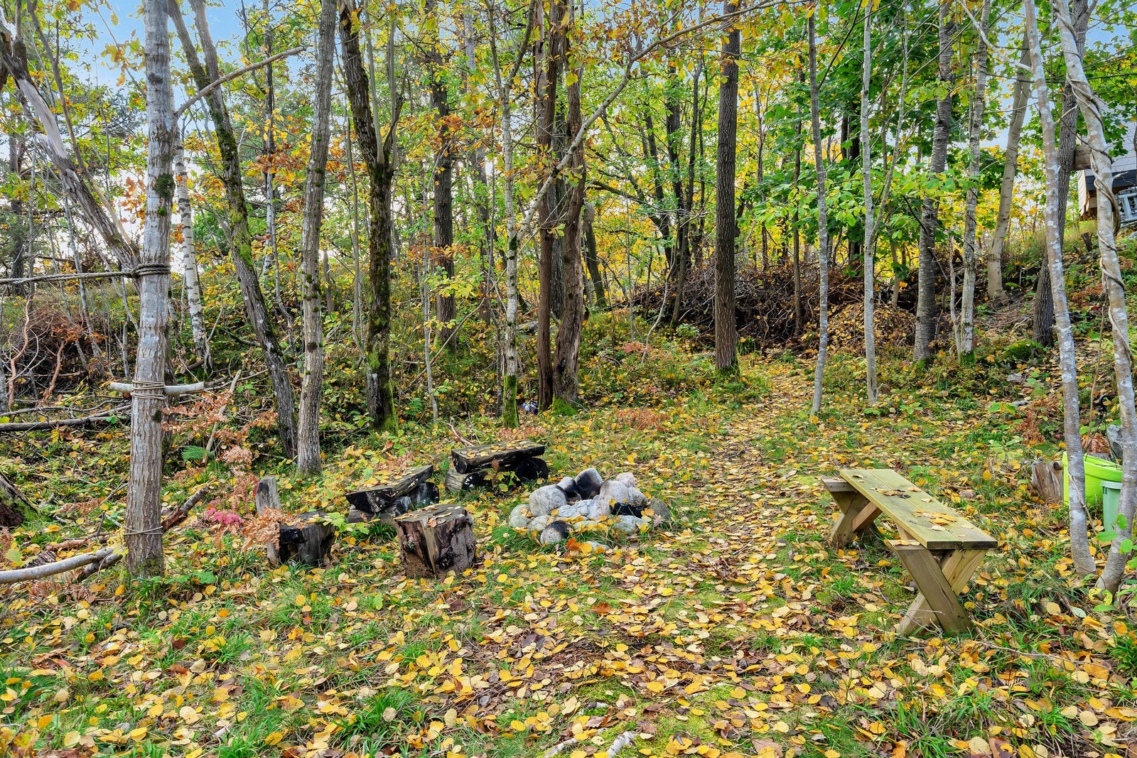 Bålplass i hagen! Galleribilde