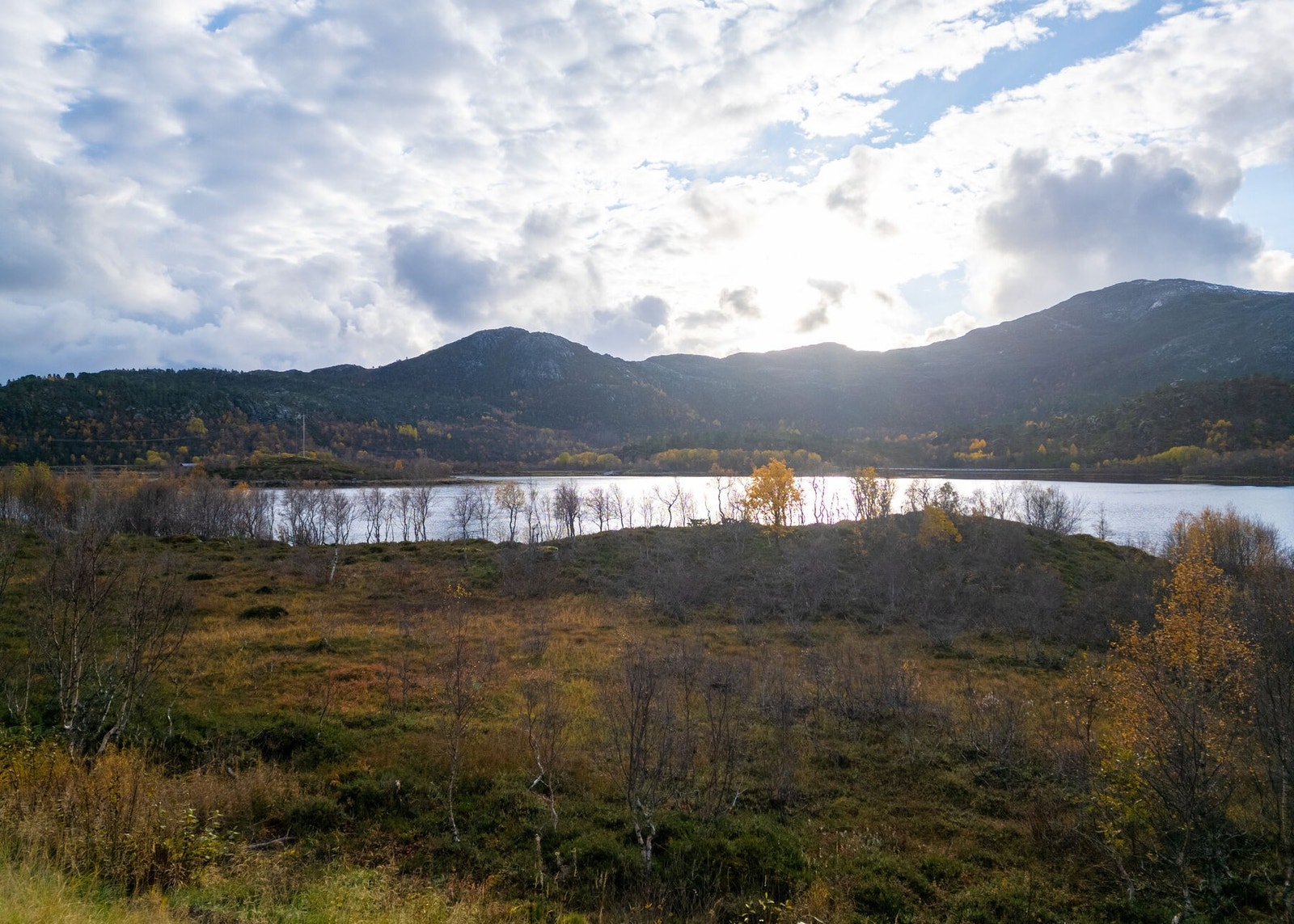 Utsikten Galleribilde