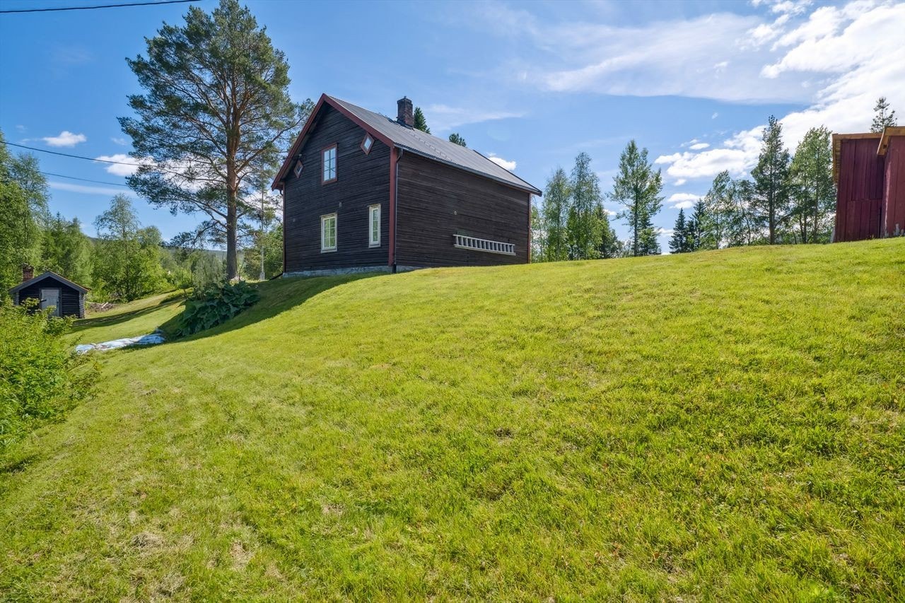 Kupert naturtomt med noe grasvoll. Galleribilde