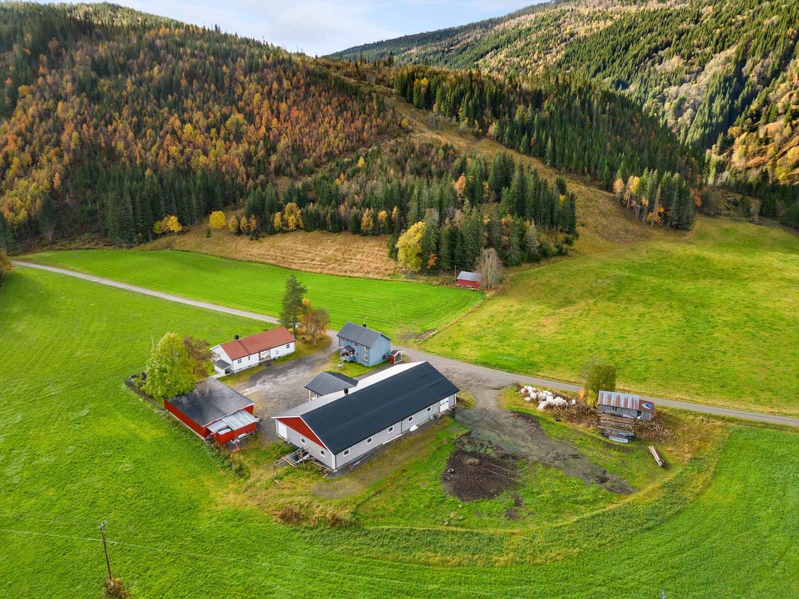 Mot sør Galleribilde