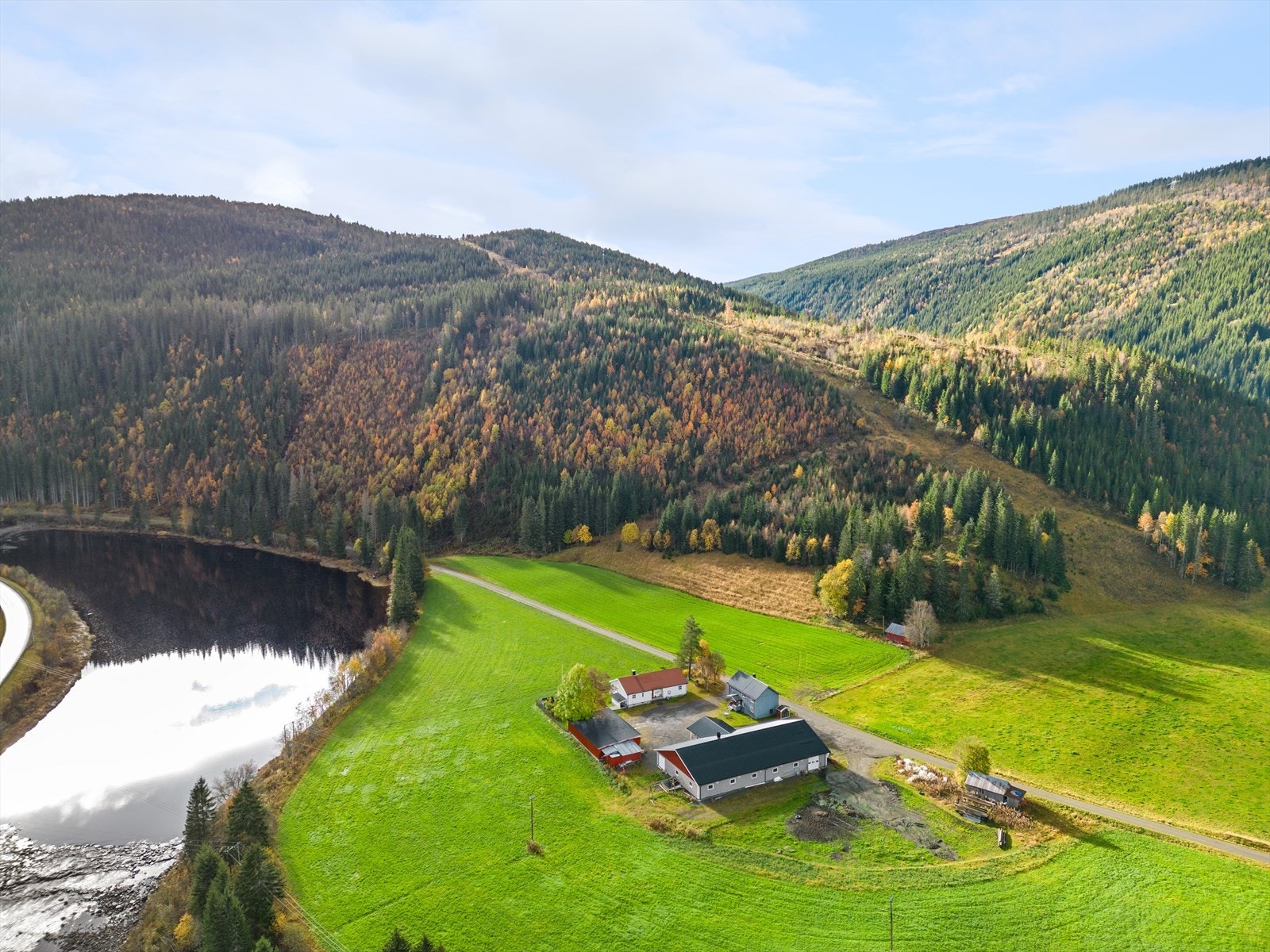 Mot sør-øst Galleribilde
