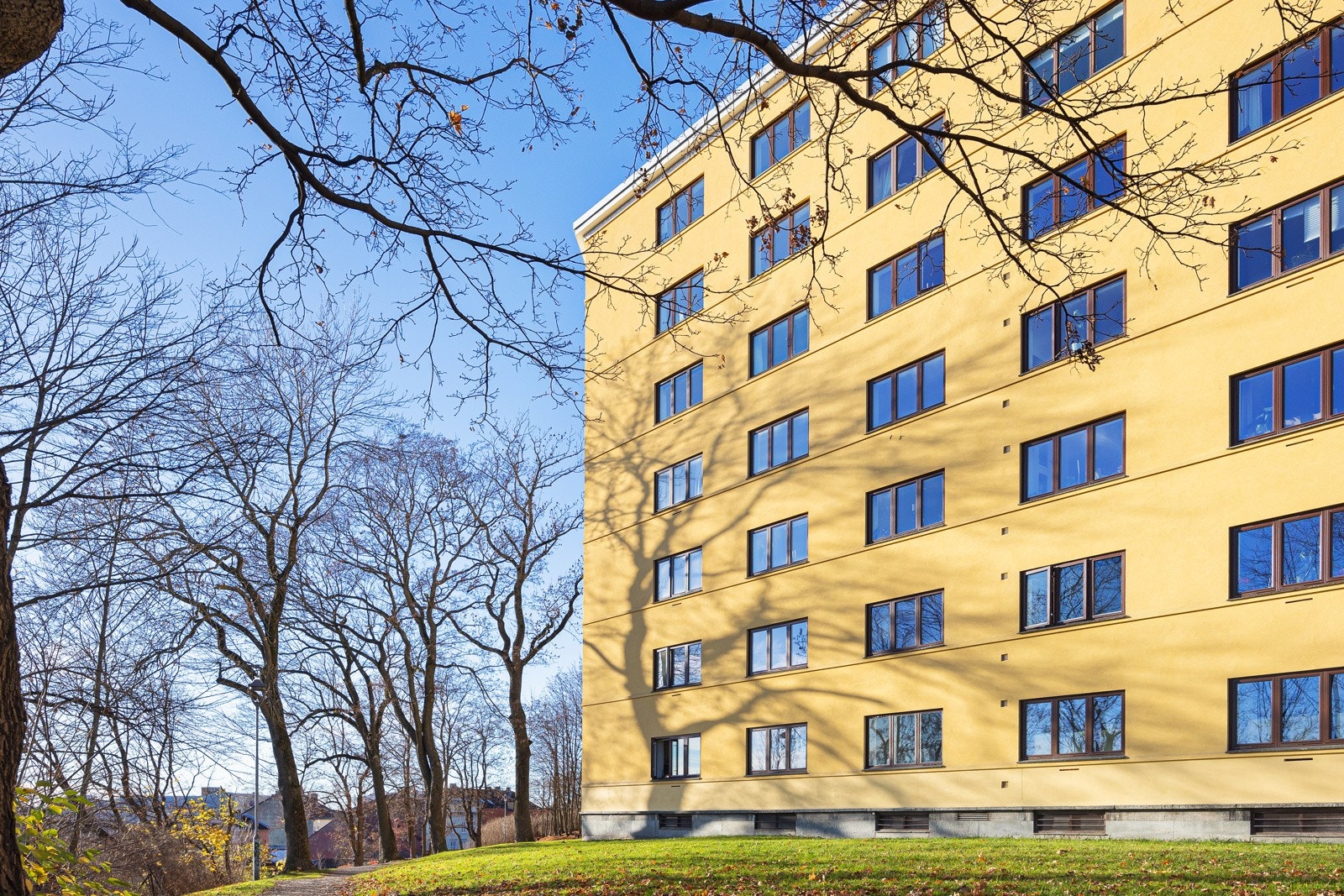 - Utleie og dyrehold er tillatt - Galleribilde