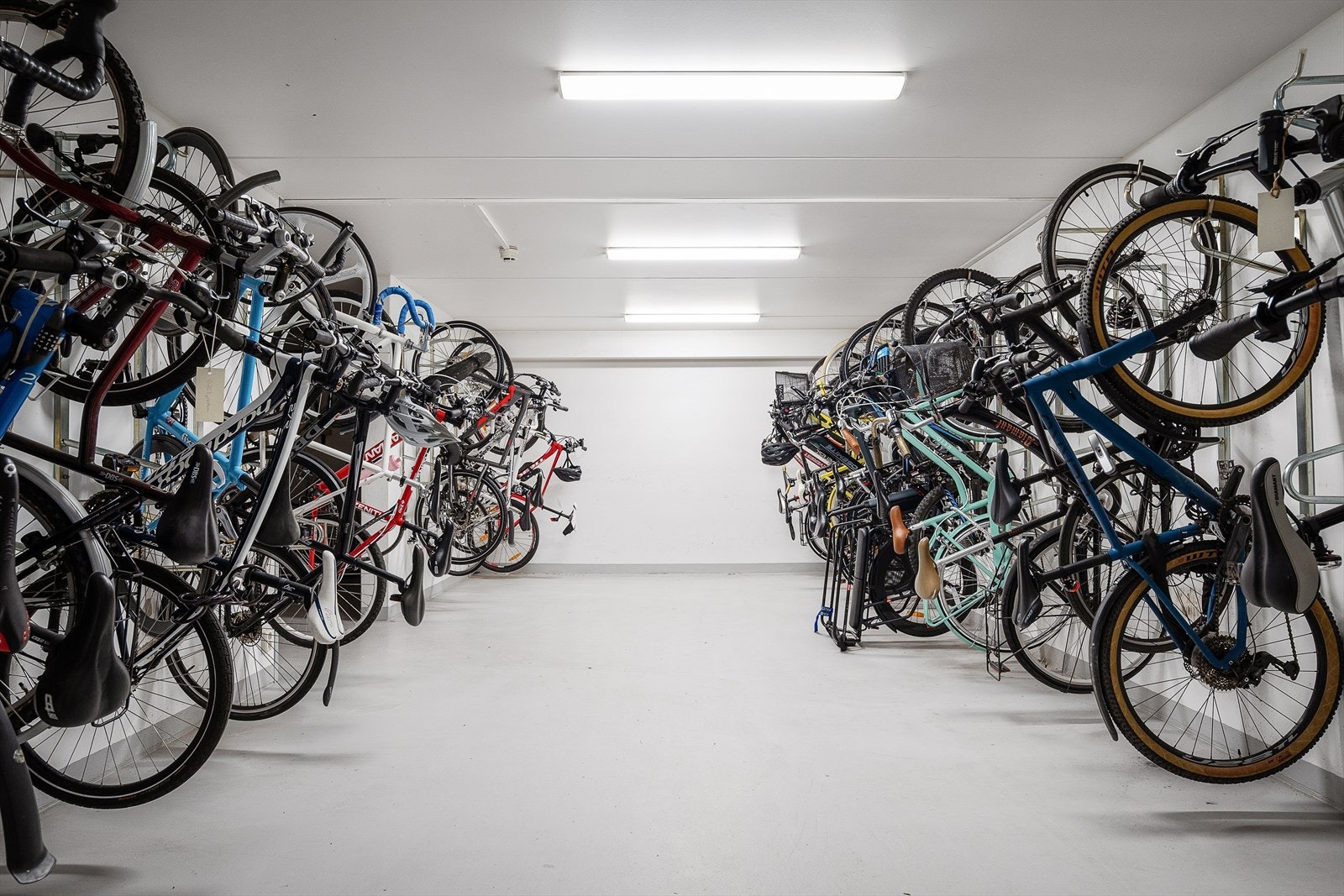Felles sykkelparkering i sameiet. Galleribilde