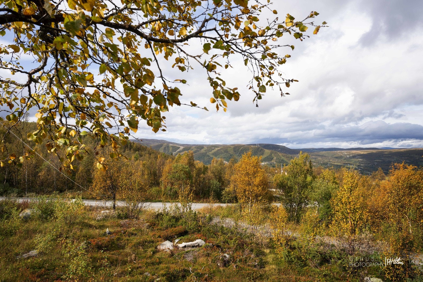 Flott utsikt Galleribilde