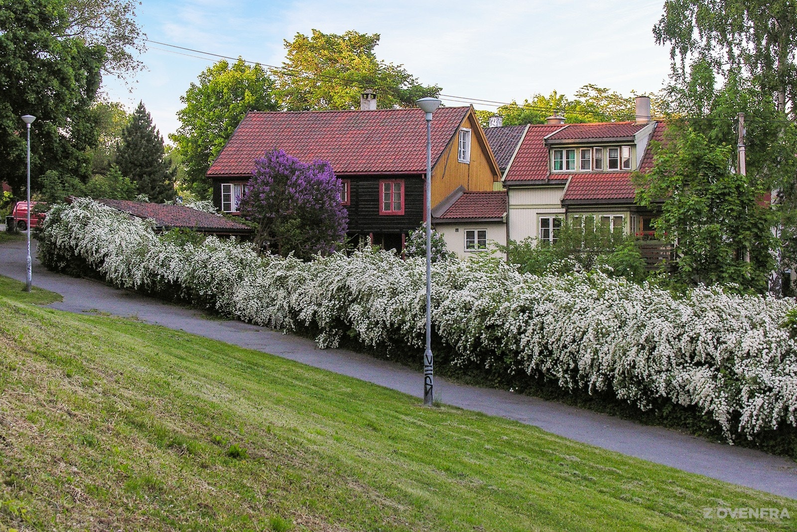 Området byr på flotte turmuligheter. Både byvandring i klassisk, nostalgisk bebyggelse, langs Akerselva eller inn i Maridalen. Galleribilde