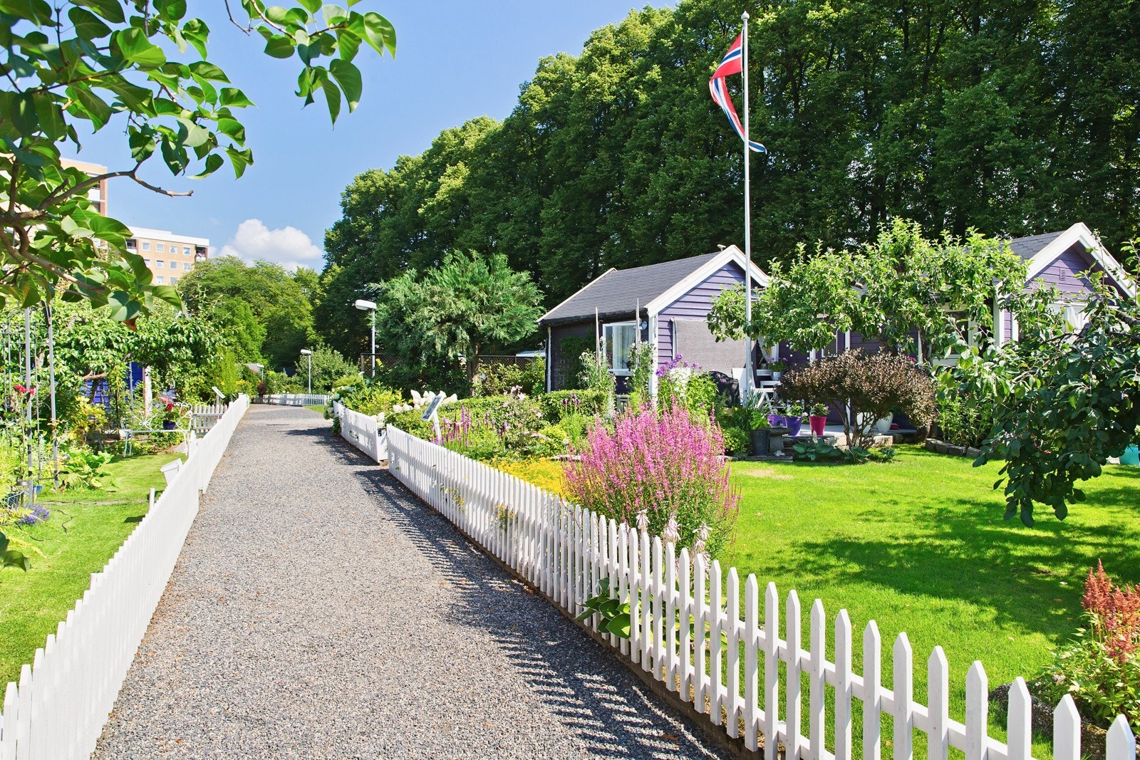 En av de aller nærmeste naboene er Hjemmets Kolonihager. Galleribilde