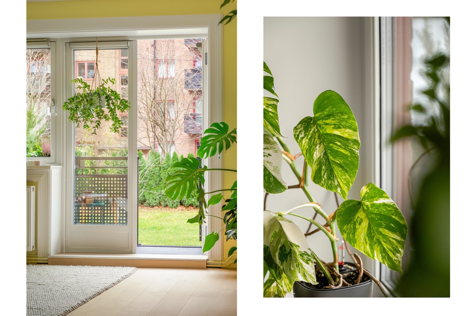 Det er tofløyede dører som kan åpnes sammen eller hver for seg. Galleribilde