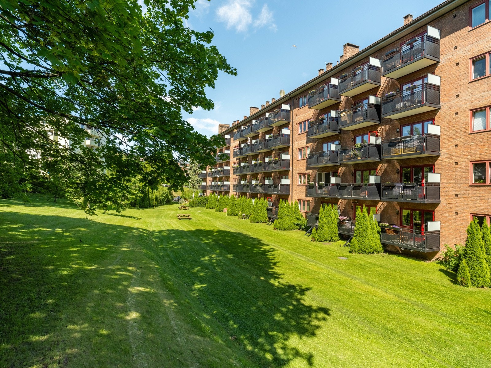 De flotte fellesområdene holdes jevnlig ved like av gartner og vaktmester som er innleid av borettslaget: Enten det er gressklipping på sommeren eller snømåking på vinteren. Galleribilde