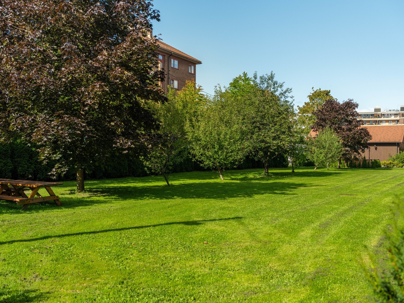 Maridalsveien borettslag fremstår ryddig og veldrevet med en utfyllende vedlikeholdshistorikk, et driftig styre og god økonomi. Galleribilde