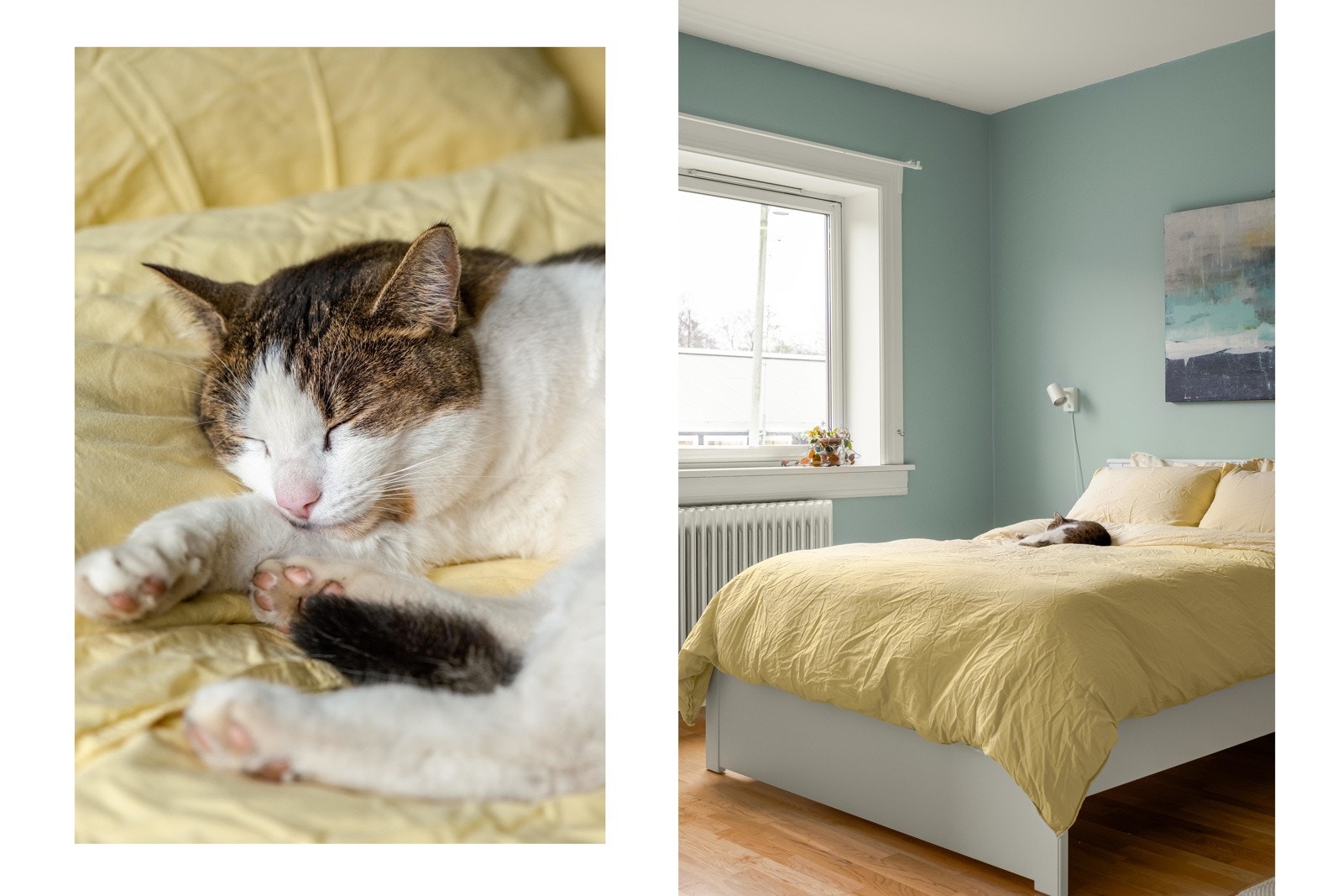 Her er det ikke bare tobeinte som sover godt. Si hei til den fine linsepusen, Jonas! Han informerer om at det er tillatt med dyrehold i borettslaget ved søknad til styret. Galleribilde