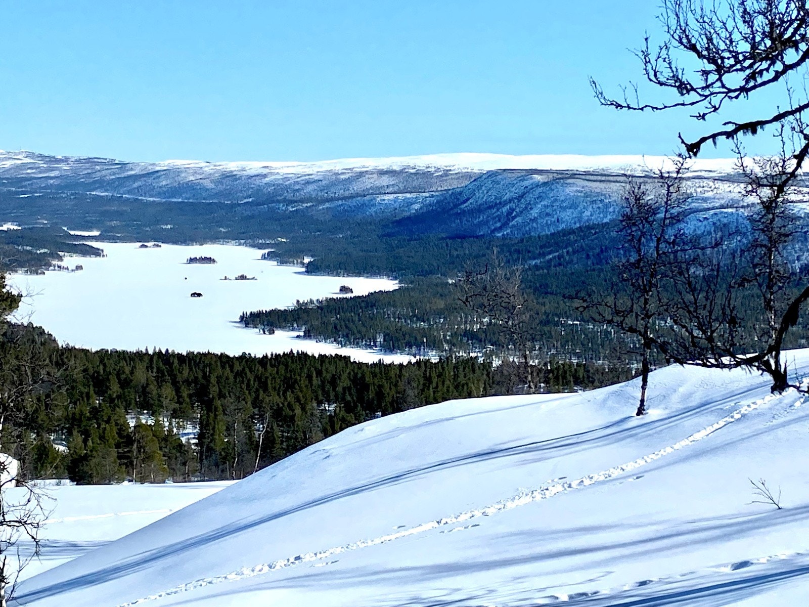 Utsikt fra tomten Galleribilde
