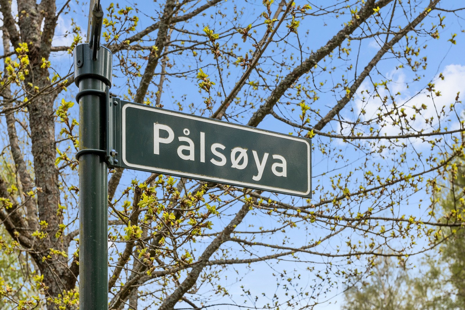 Pålsøya ligger rett nedenfor Galleribilde