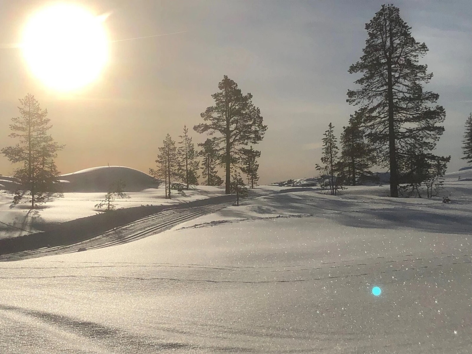 Nydelig vinterlandskap! Galleribilde