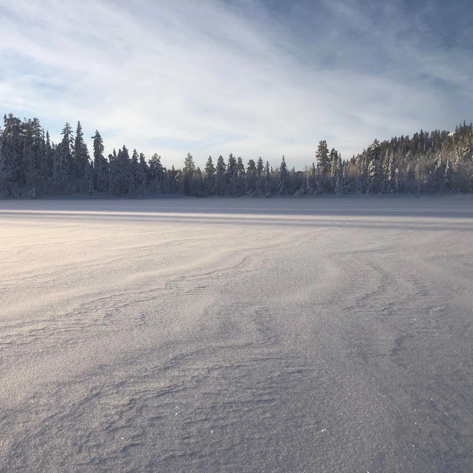 Vinterwonderland! Galleribilde
