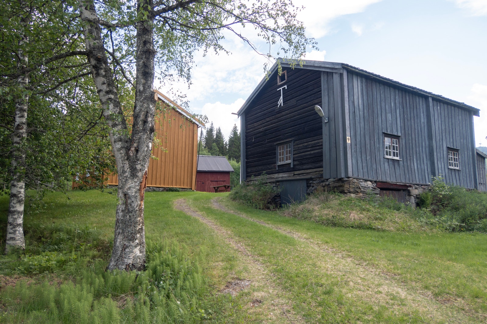 Fjøs. Galleribilde