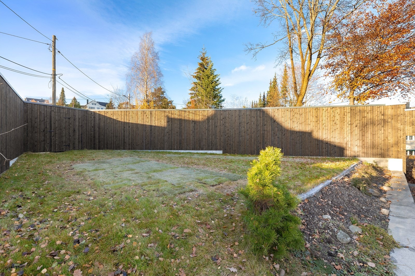 Her er det plass god plass til trampoline. Galleribilde